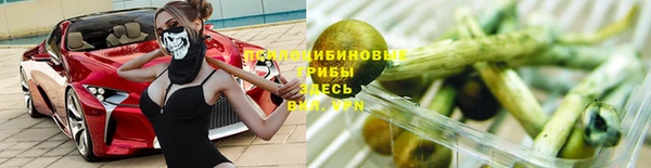 марки nbome Аркадак